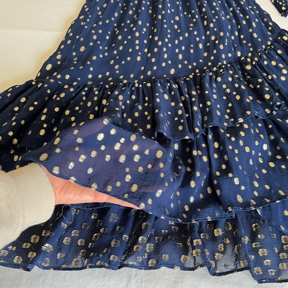 Lilly Pulitzer Dress - Picture 7 of 16